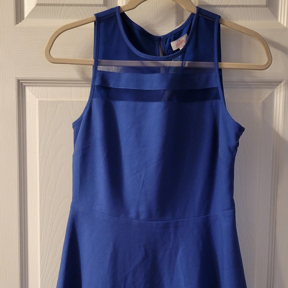 NWT Pixley Boby Mesh Detail Dress